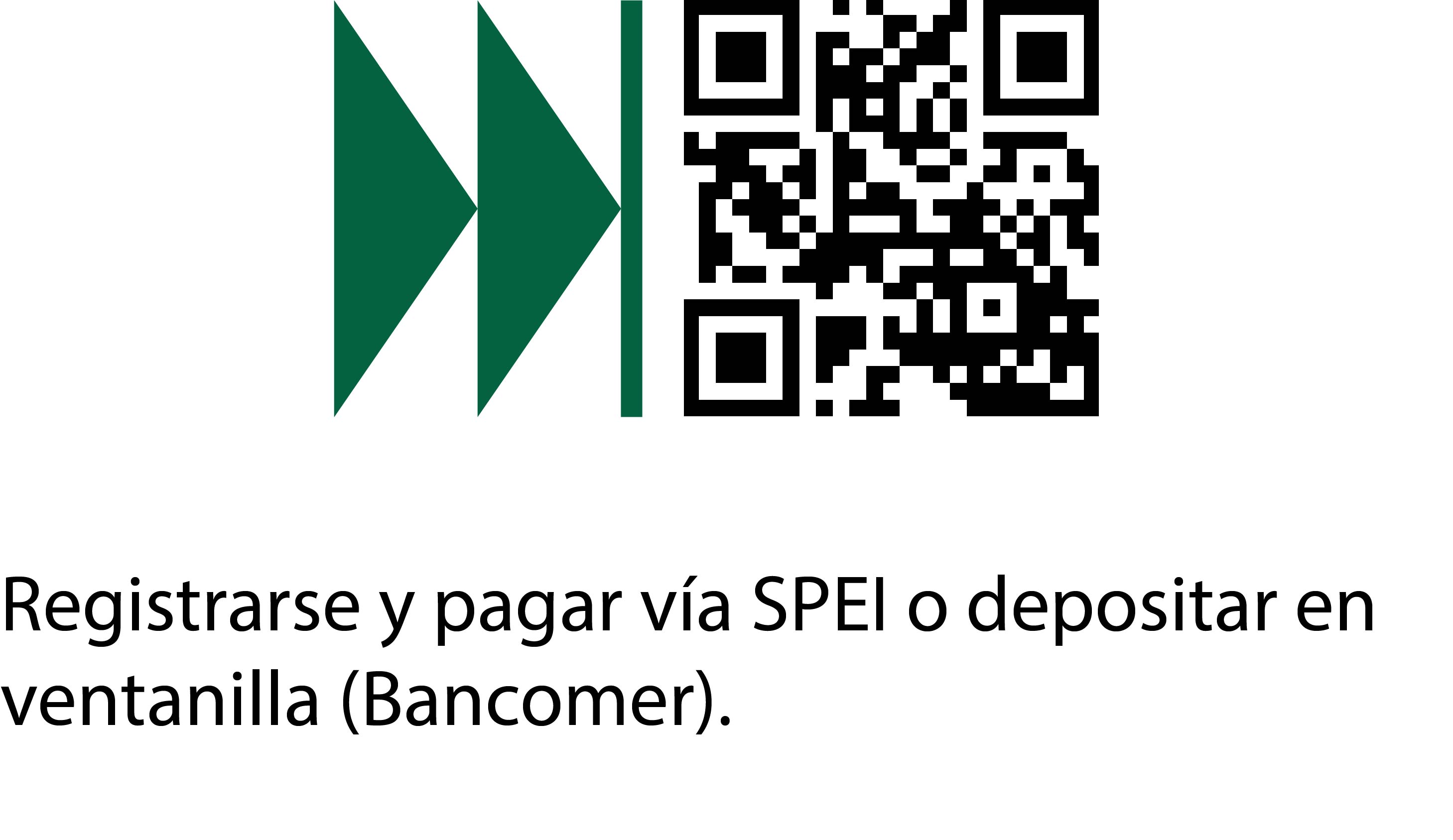 Factura Registro al Sistema